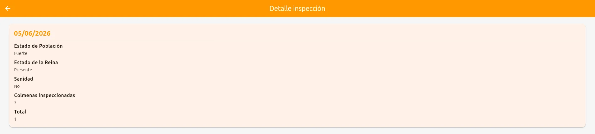 Detalle de inspección